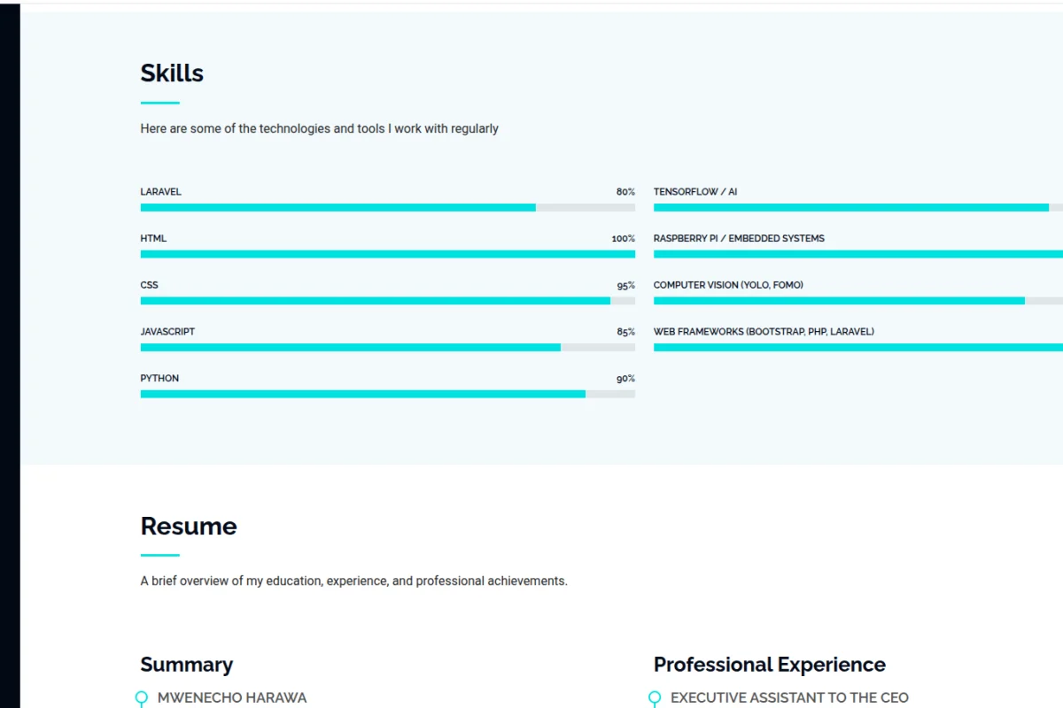 Mwenecho's Portfolio
